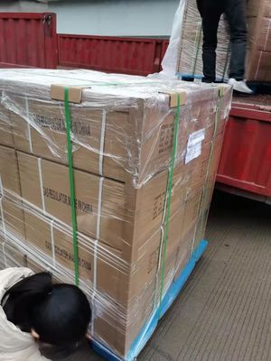 CTN/PCS 20pcs/CTN brûleur de mauvaises herbes à torche de propane en laiton avec allumage piezo et tuyau de 6,6 pieds