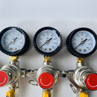 Régulateur de bière à pression double étape en acier inoxydable avancé