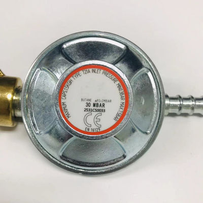 Soutien personnalisé 30mbar régulateur de gaz de type France pour la cuisine à domicile basse pression